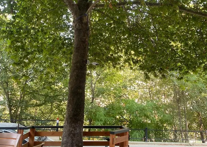 아파트 Stefanias 티라나