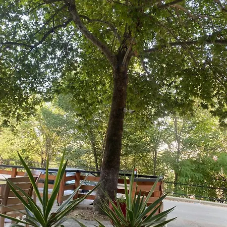 Stefanias Apartment